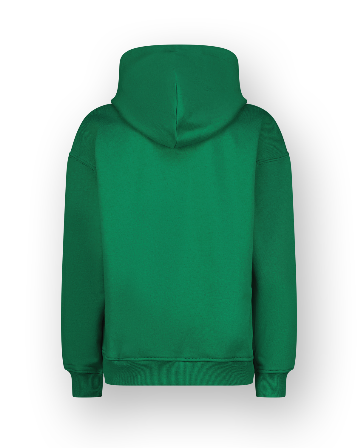 Sweatshirt Icon-hoody