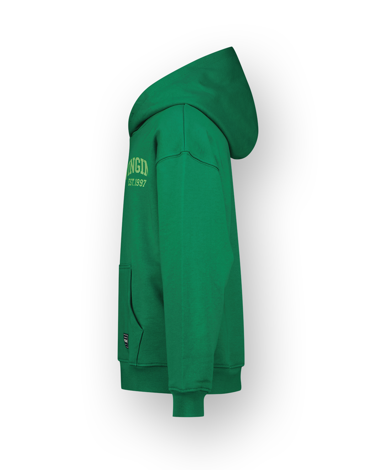 Sweatshirt Icon-hoody