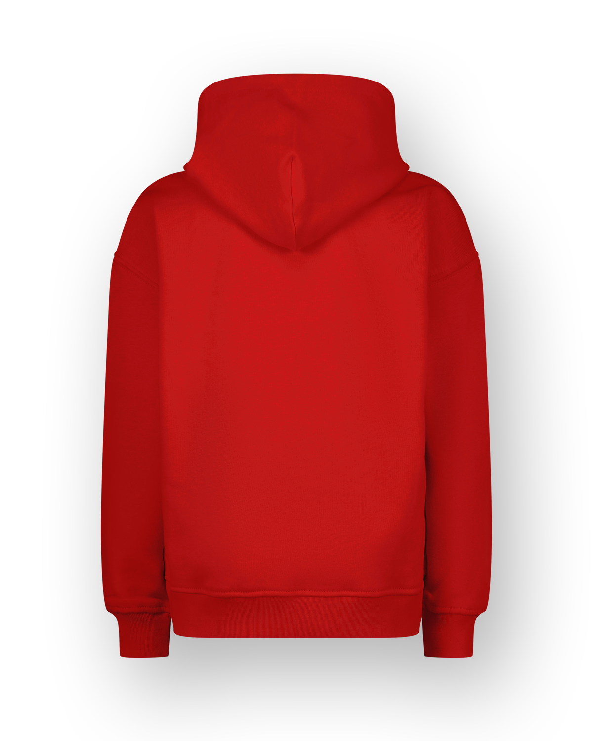 Sweatshirt Icon-hoody