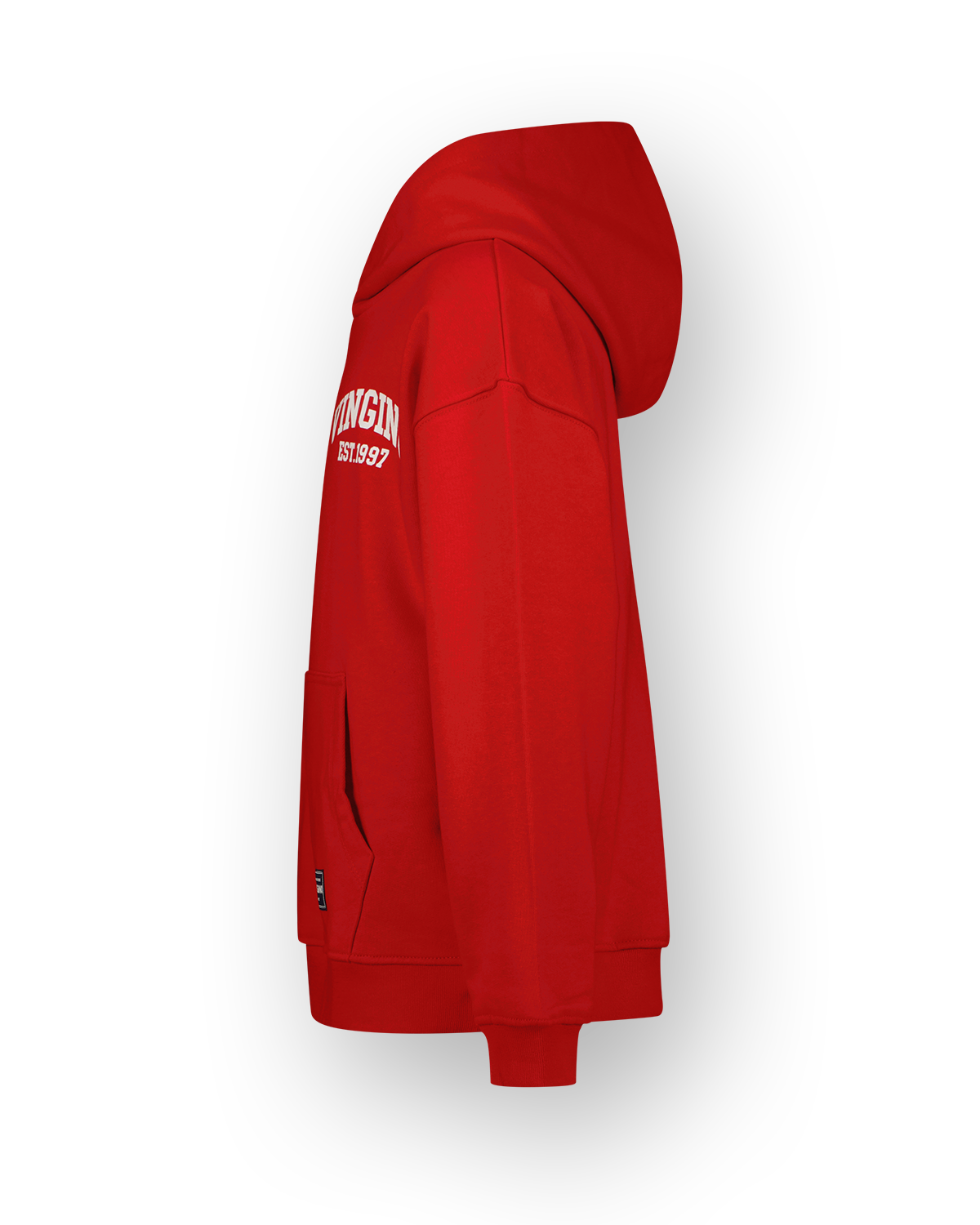 Sweatshirt Icon-hoody