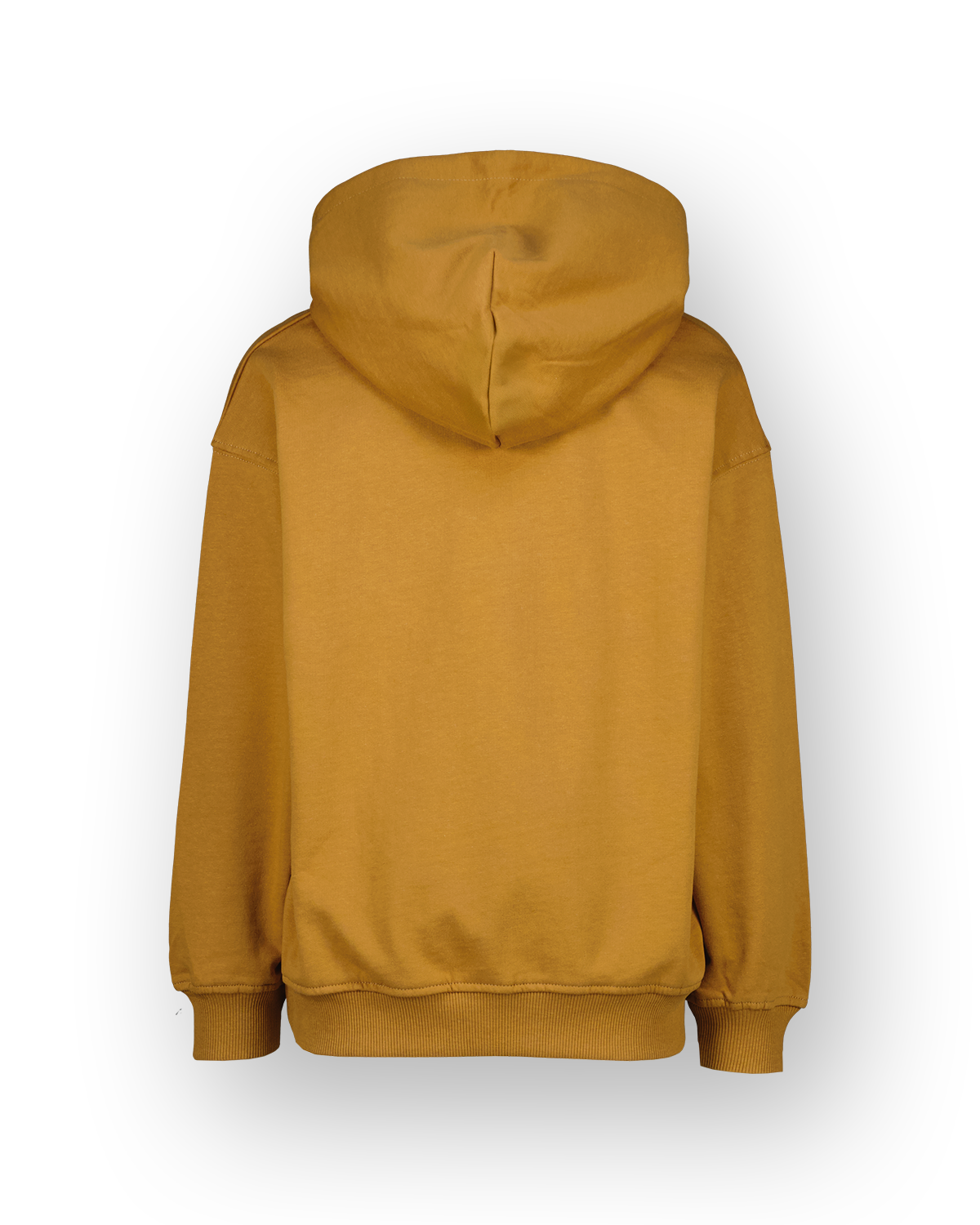 Sweatshirt Icon-hoody