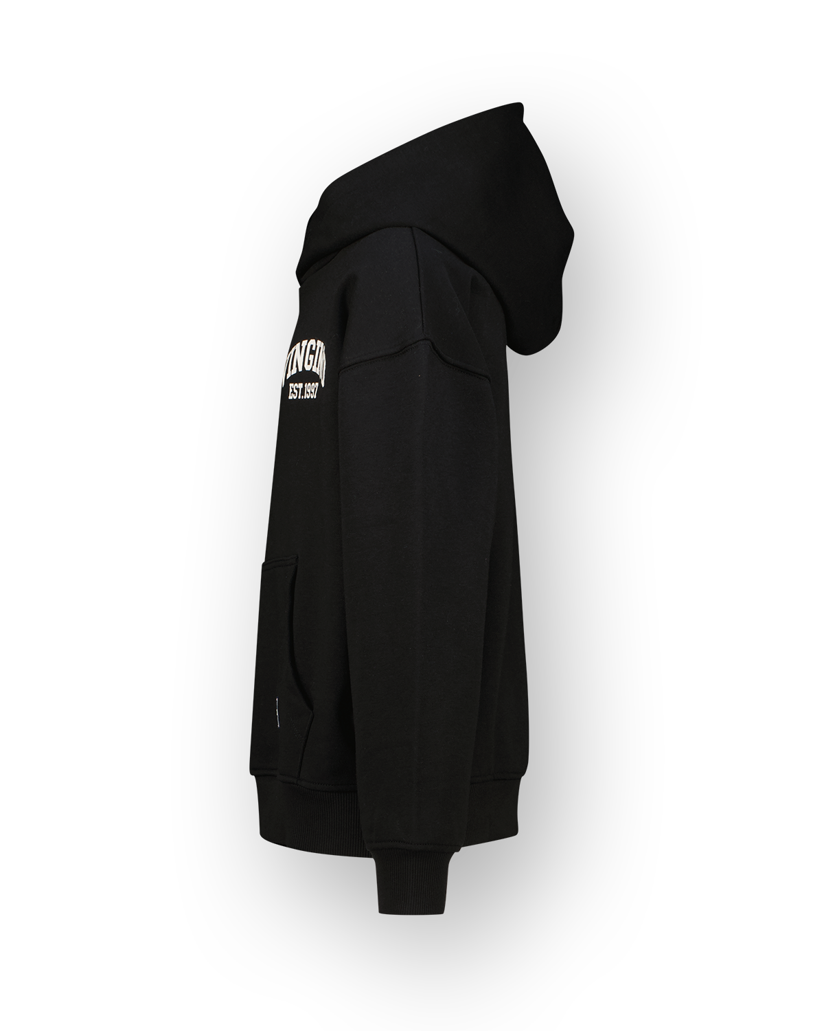 Sweatshirt Icon-hoody