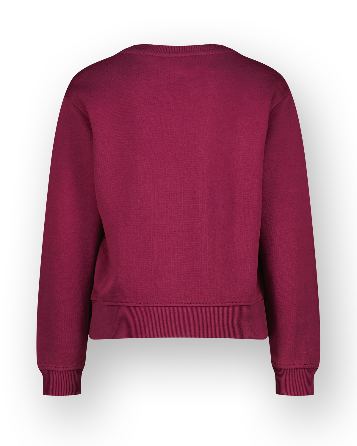 Sweatshirt Nirone
