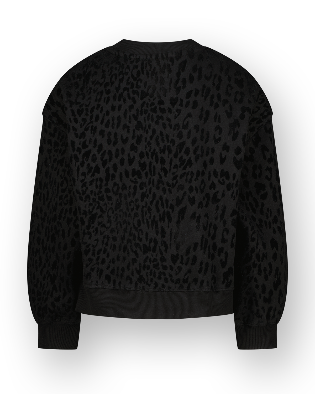 Sweatshirt Niza
