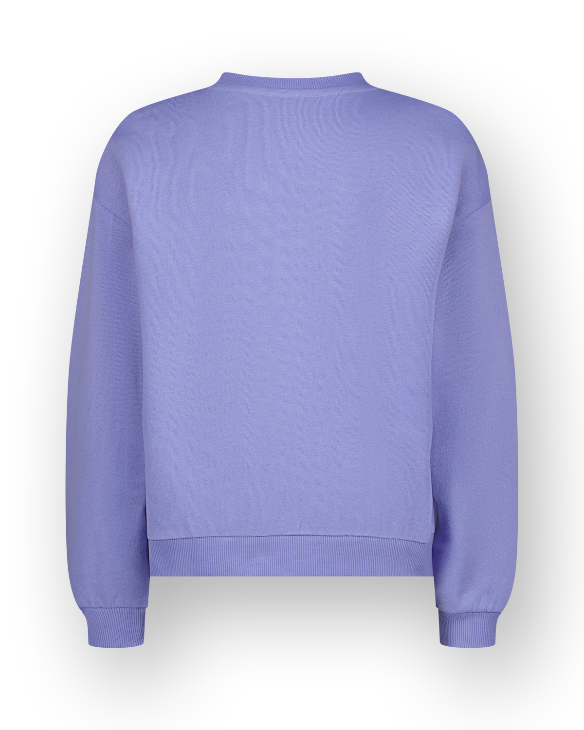 Sweatshirt Sem