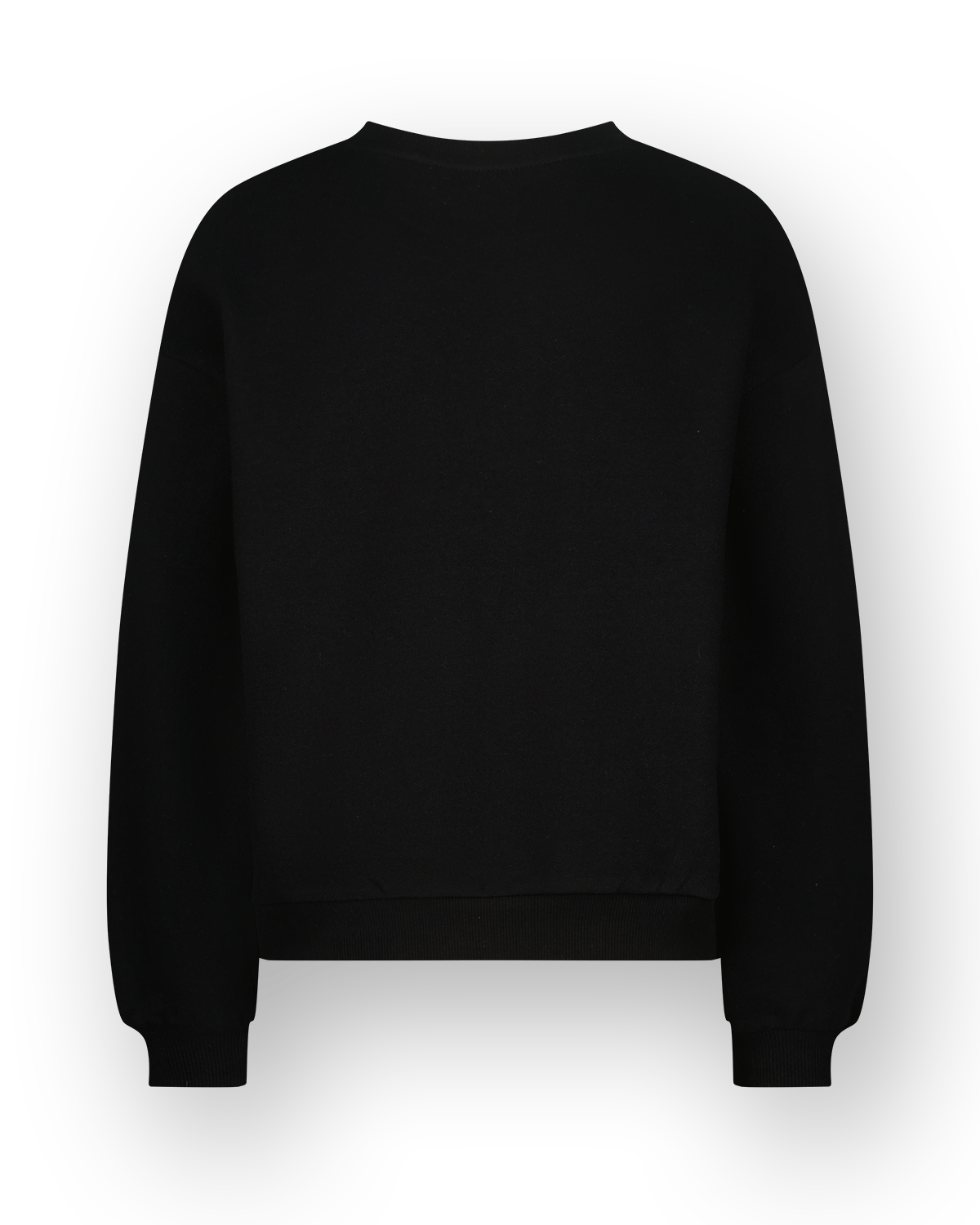 Sweatshirt Sem