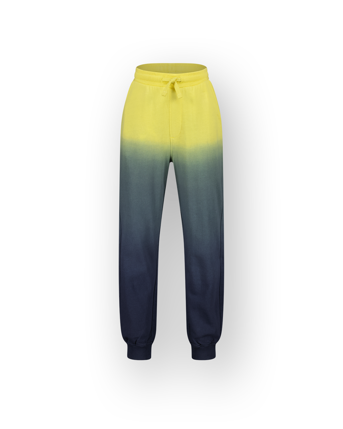 Hose Sarkis