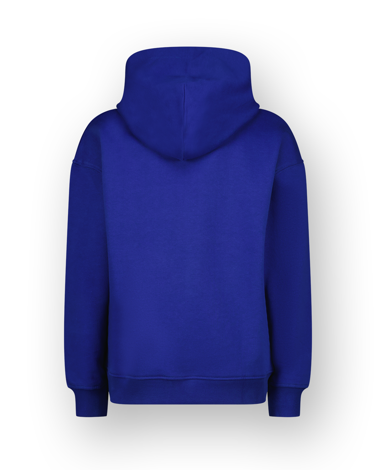 Sweatshirt Icon-hoody