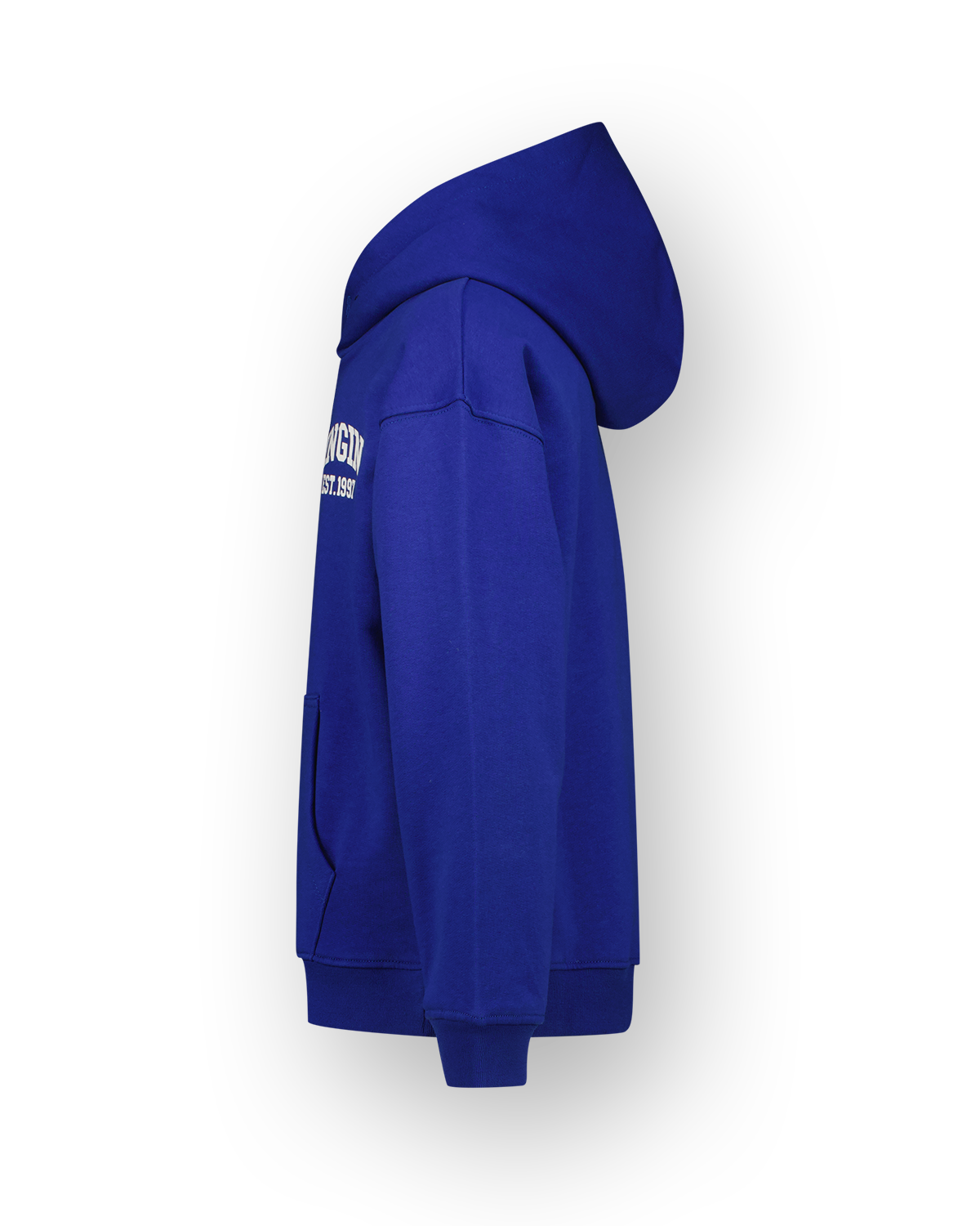 Sweatshirt Icon-hoody