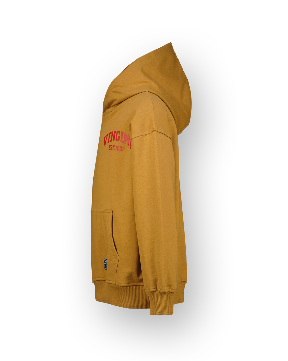 Sweatshirt Icon-hoody