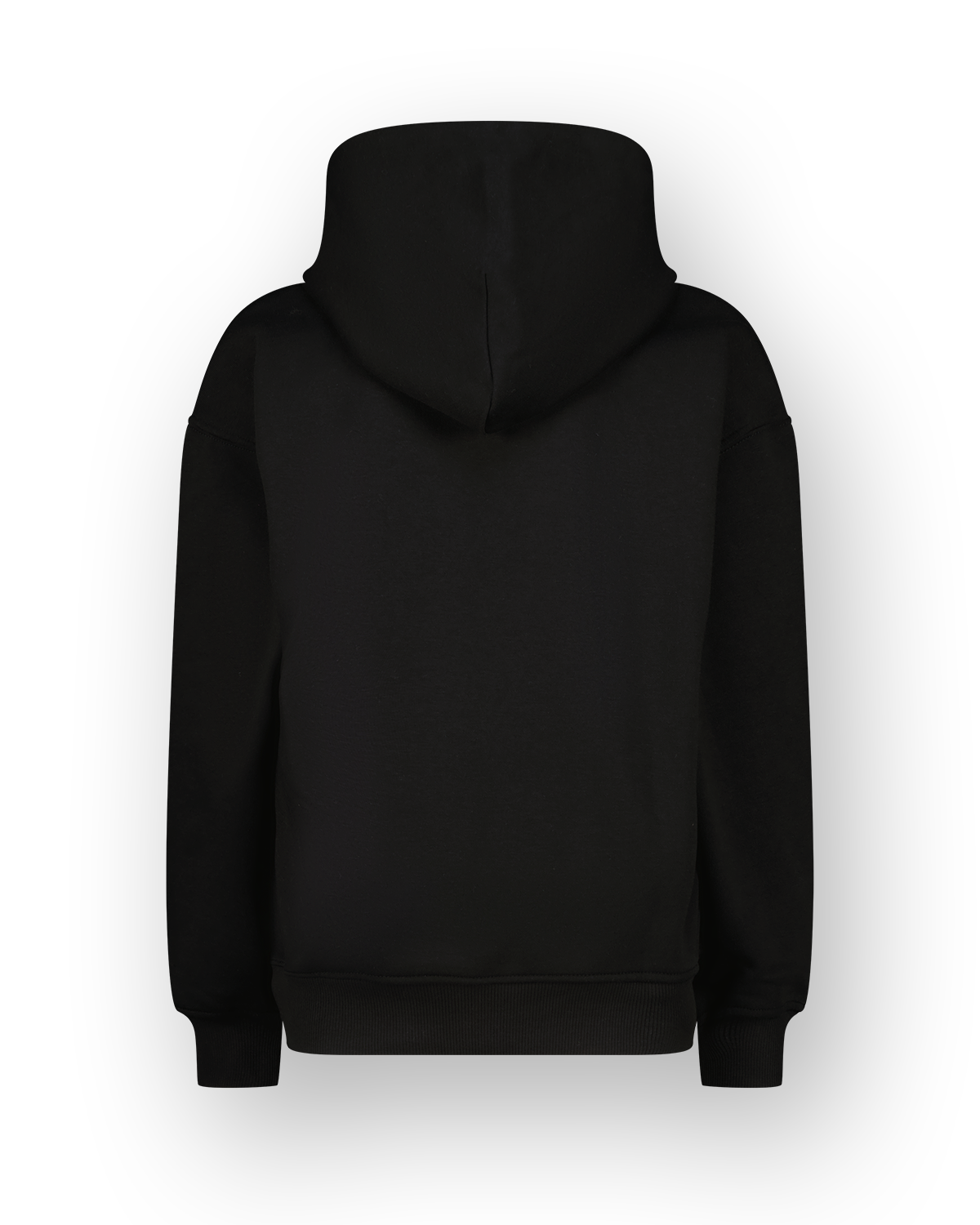 Sweatshirt Icon-hoody
