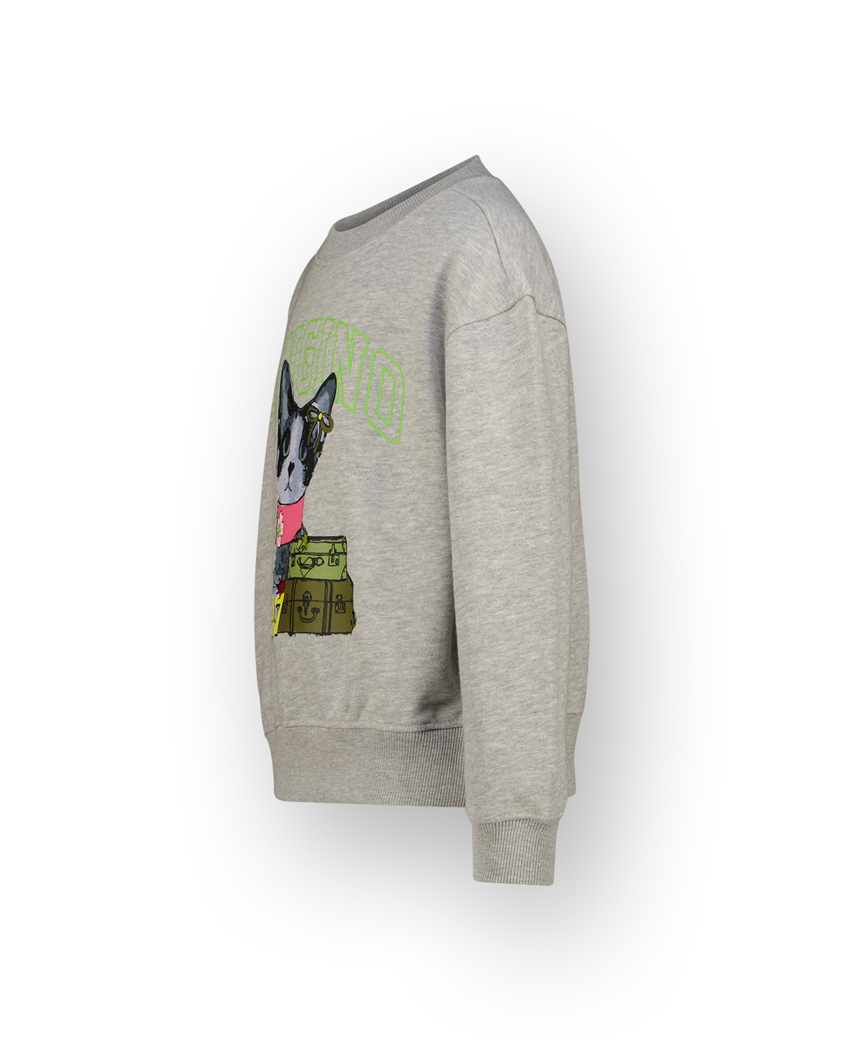 Mädchen Sweatshirt Nala