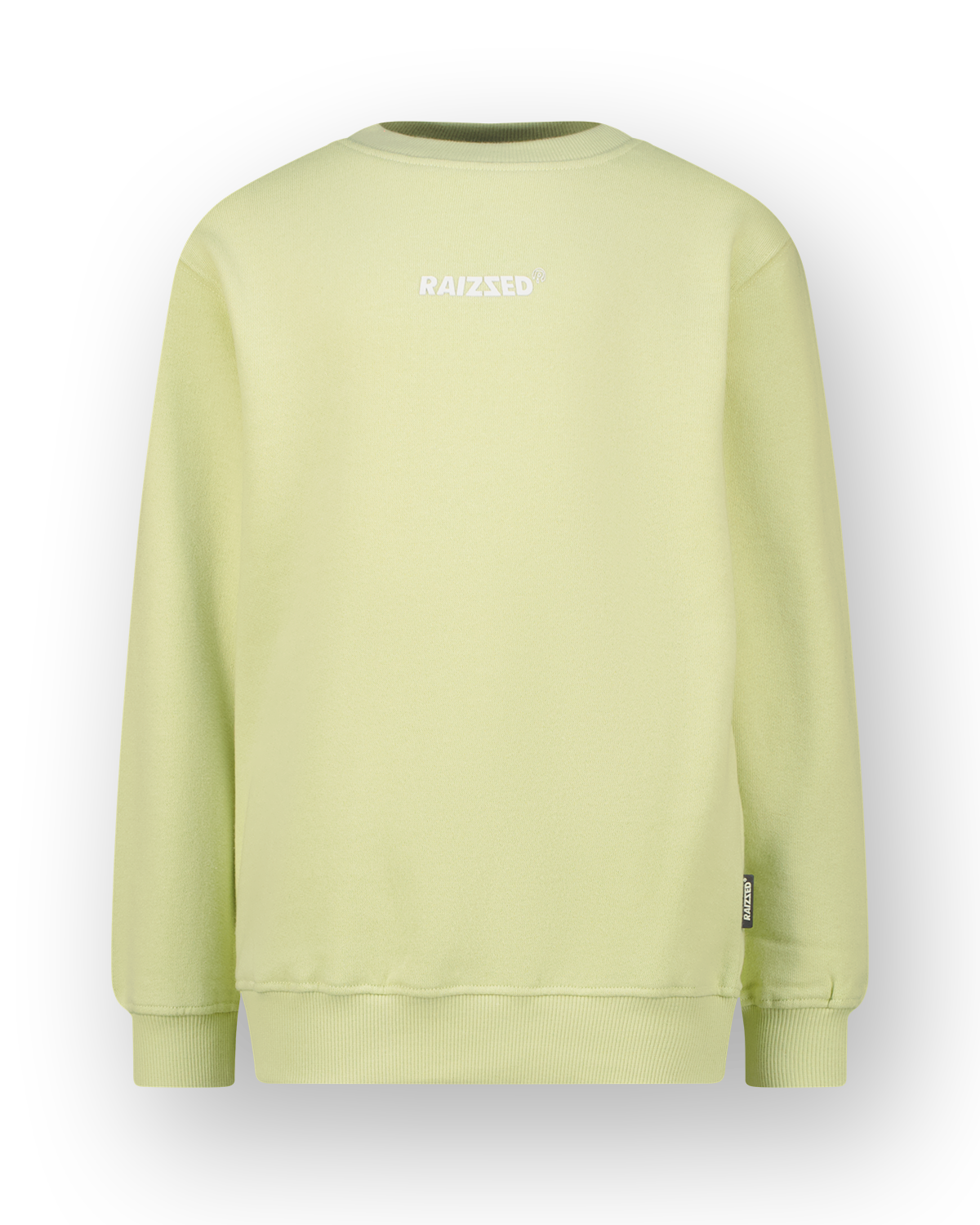 Sweatshirt Neasy