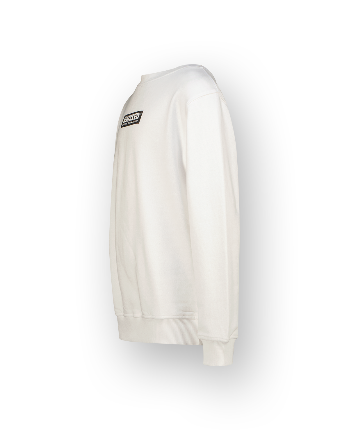 Jungen Sweatshirt Seasy