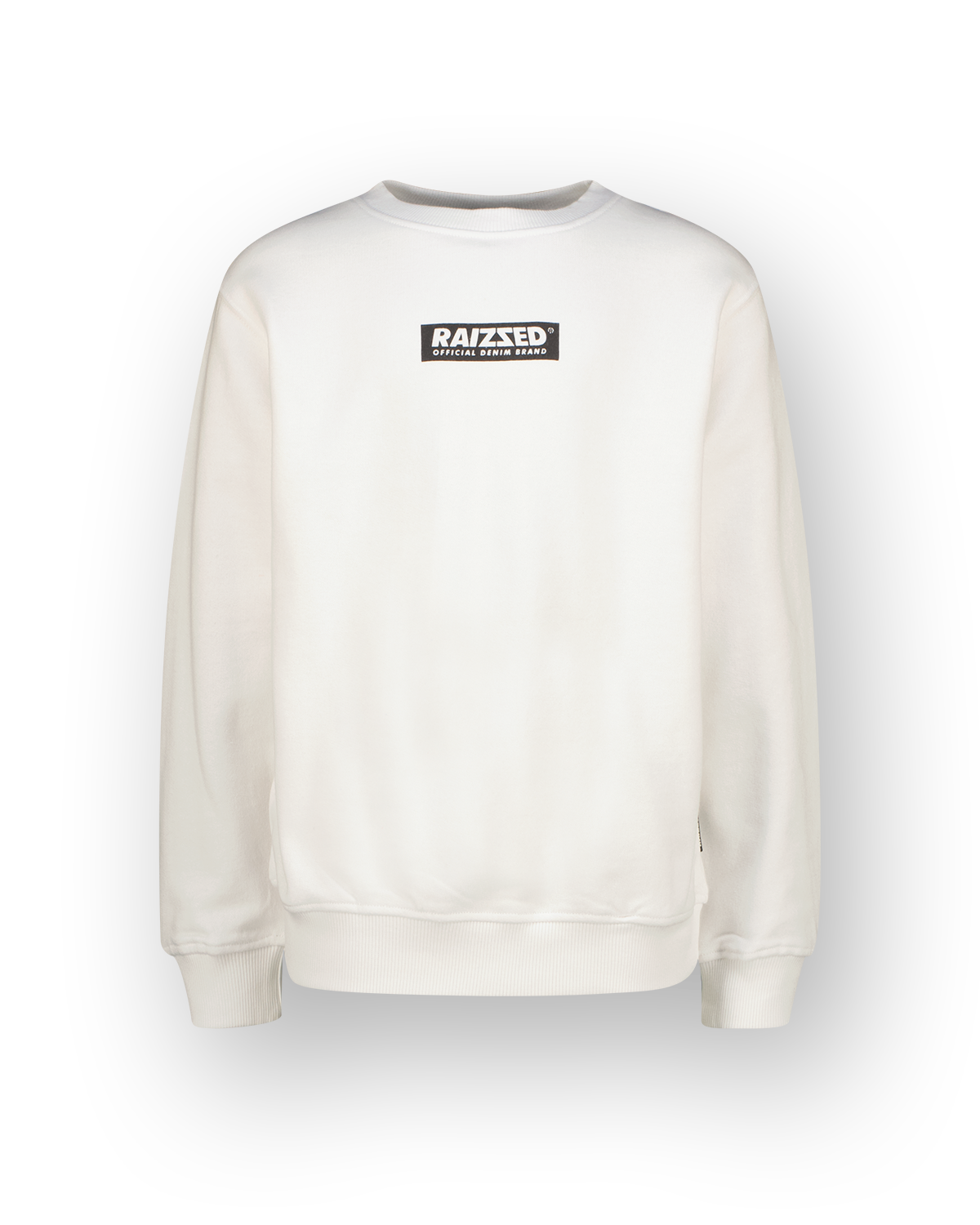 Jungen Sweatshirt Seasy