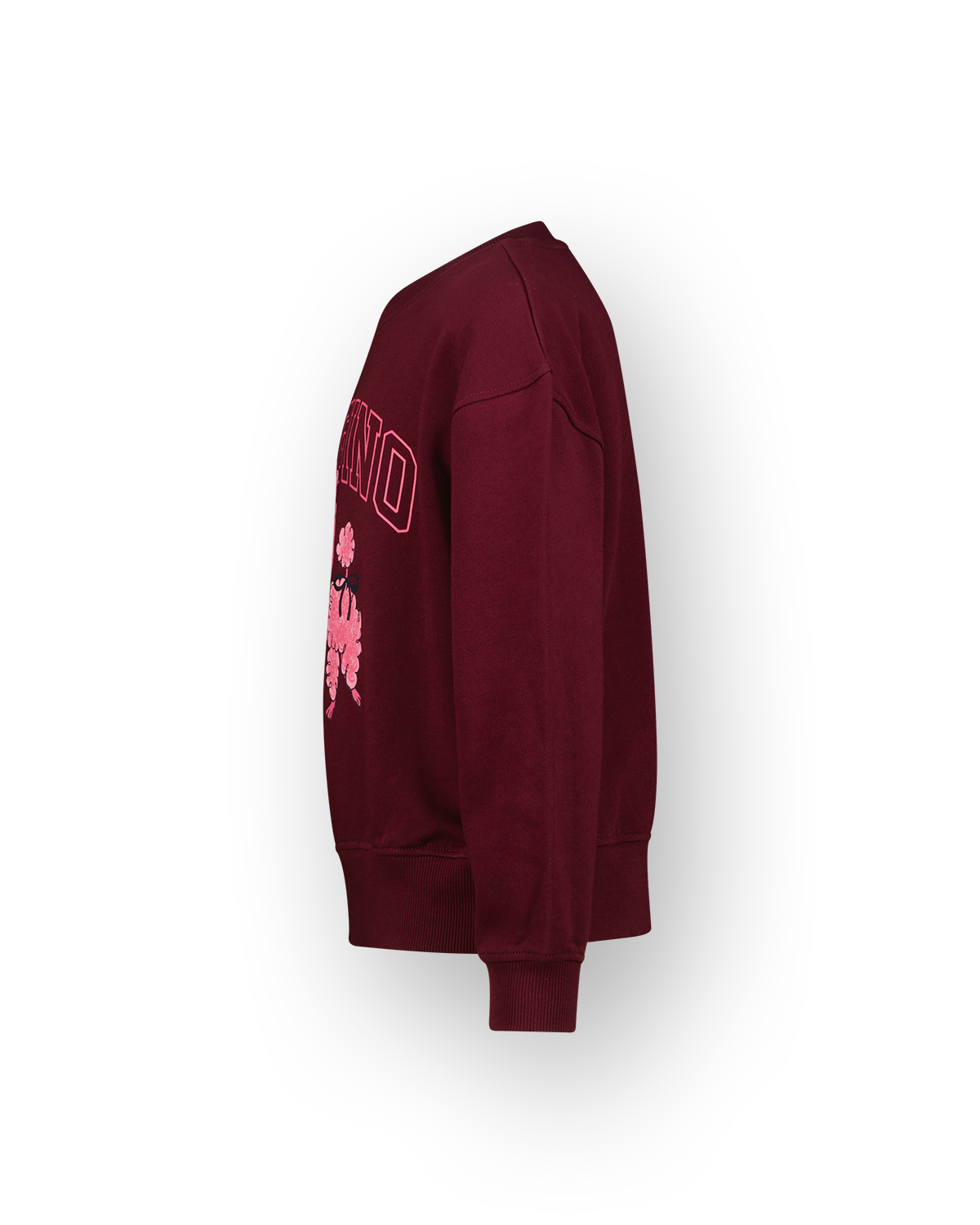 Mädchen Sweatshirt Nalien