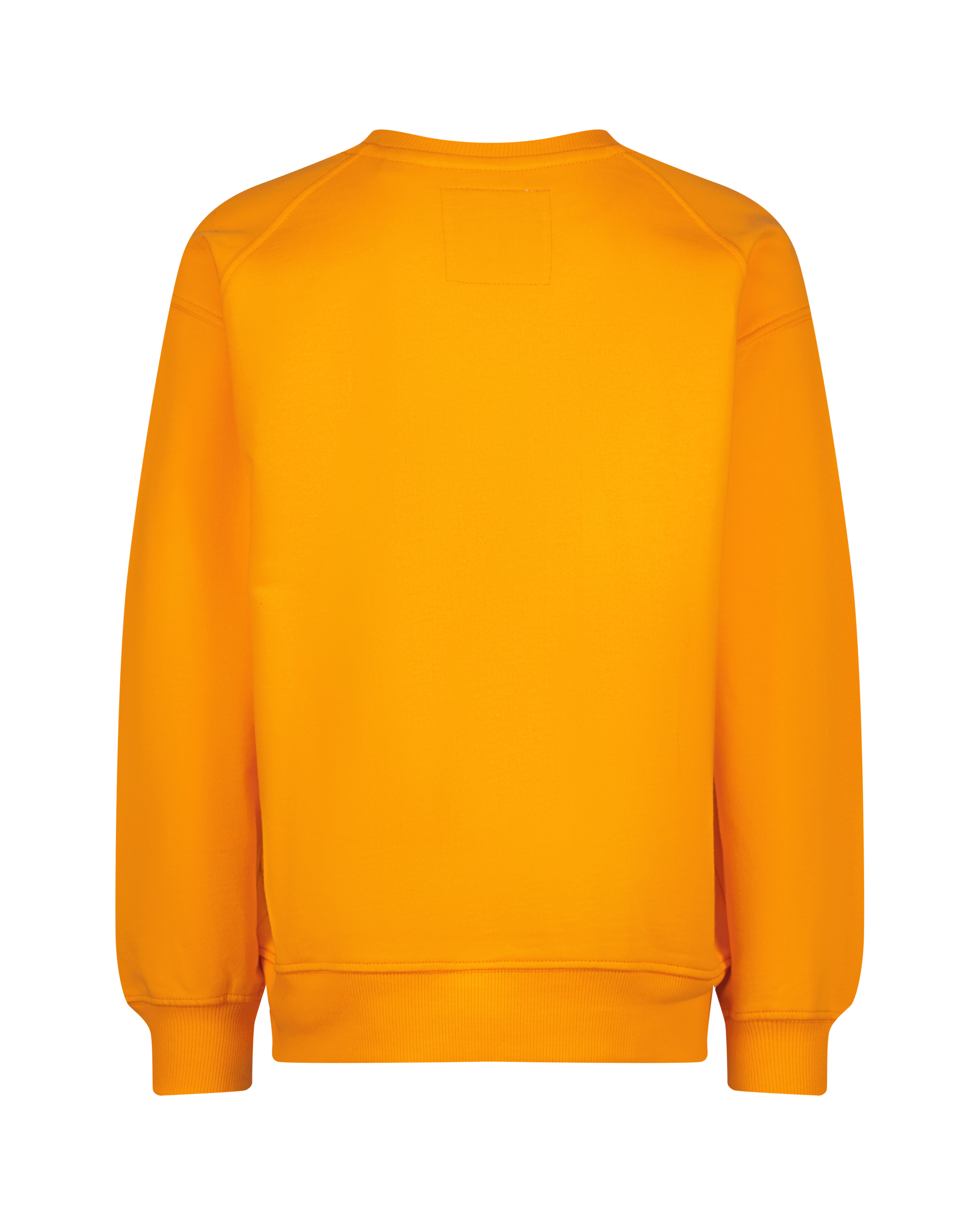 Sweatshirt Naglan