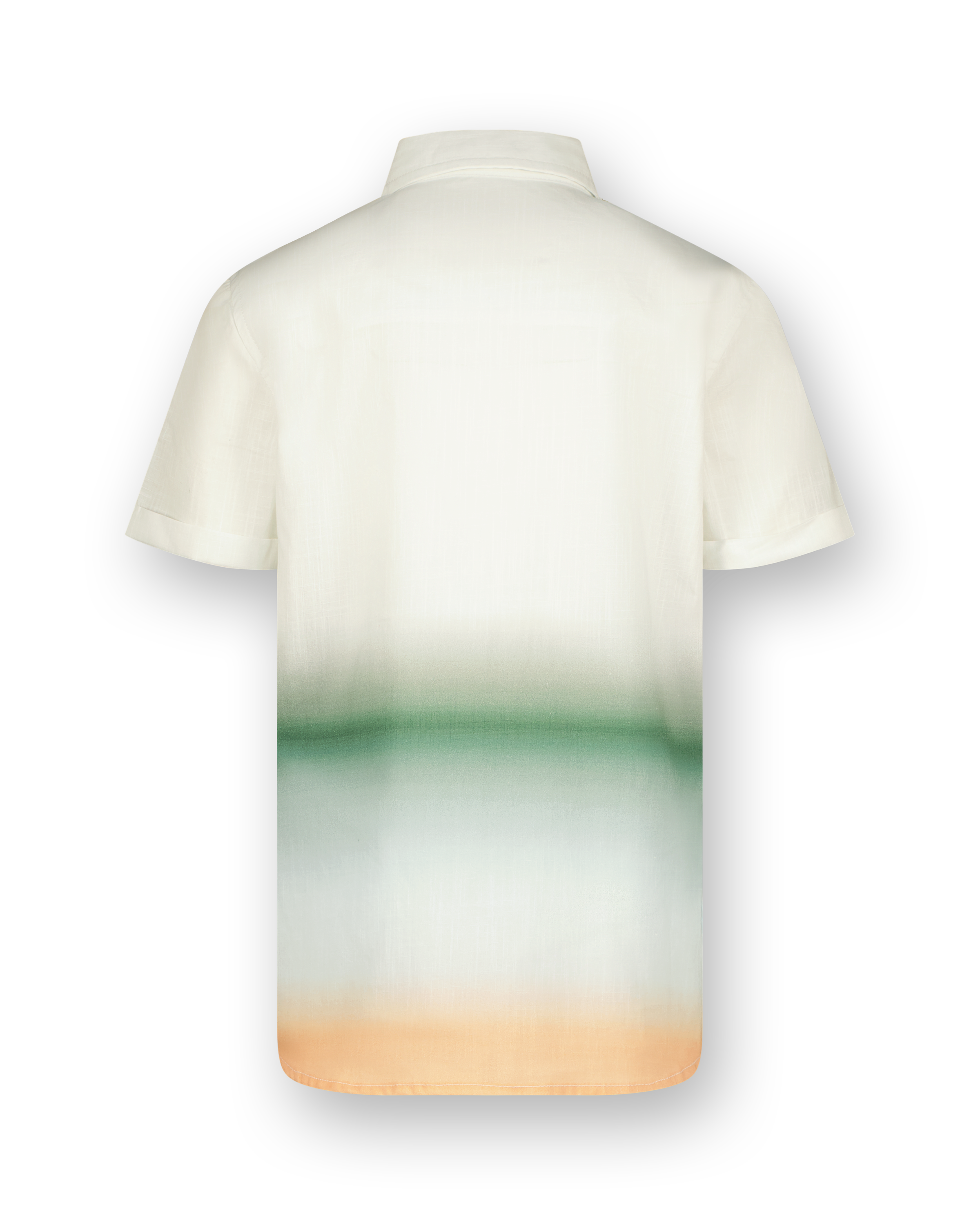 Shirt Ledio