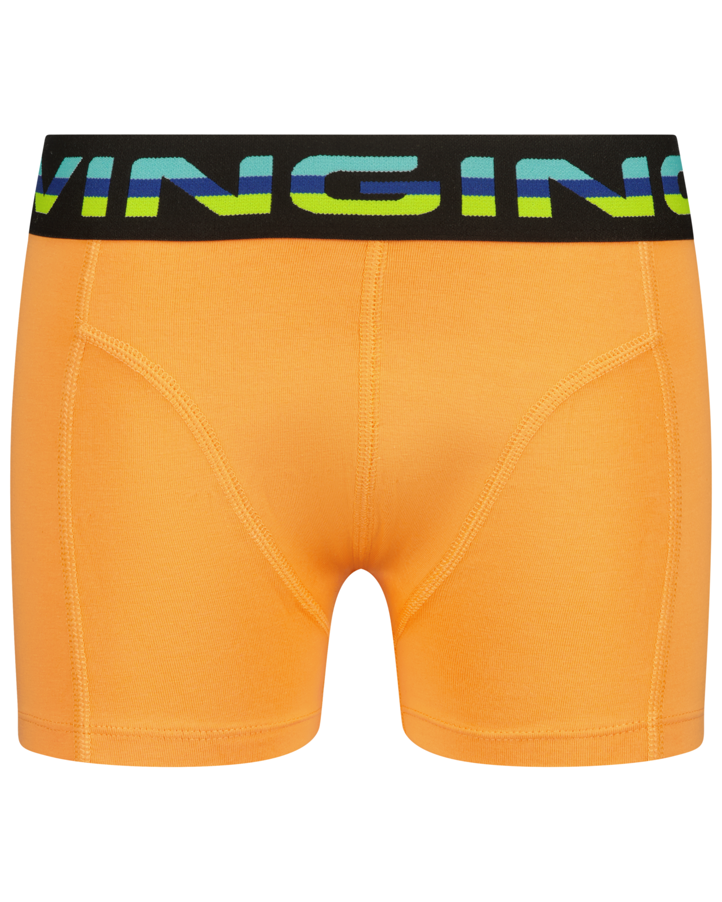 Boxer B-241-8 Palms 5 Pack