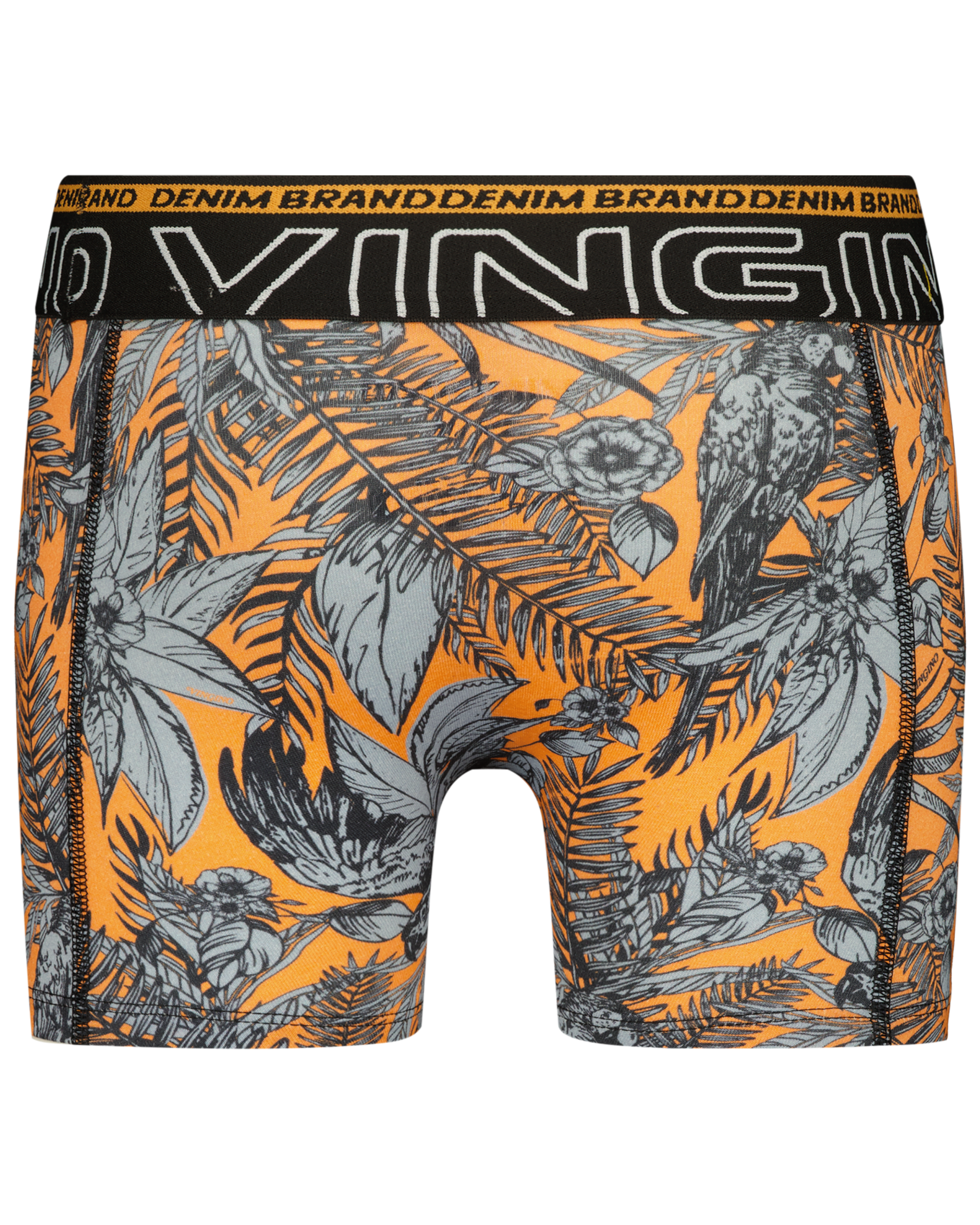 Boxer B-241-10 Black Leaf 2 Pack