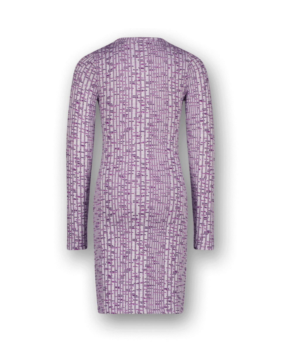 Kleid Parice