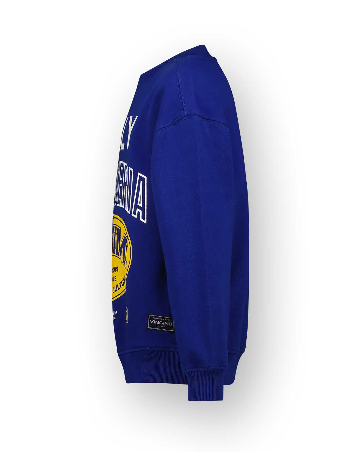 Jungen Sweatshirt Nare | Blau