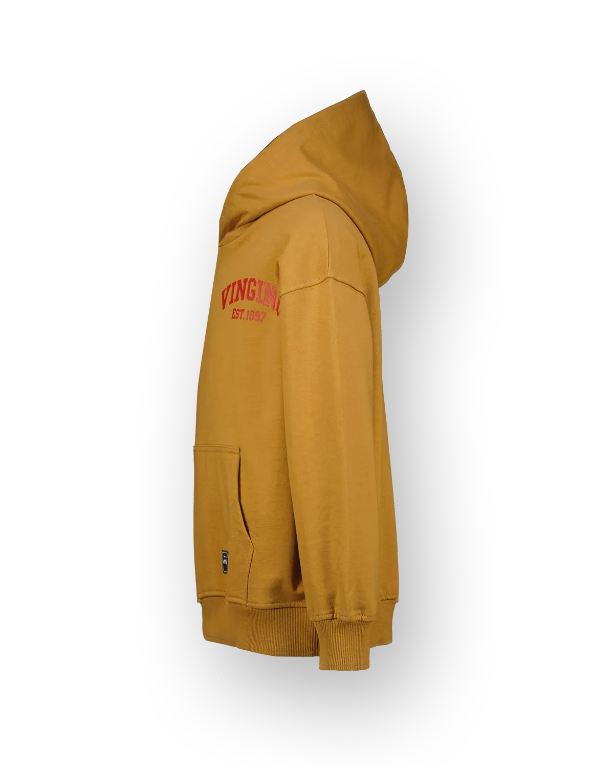 Jungen Sweatshirt Icon-hoody | Braun