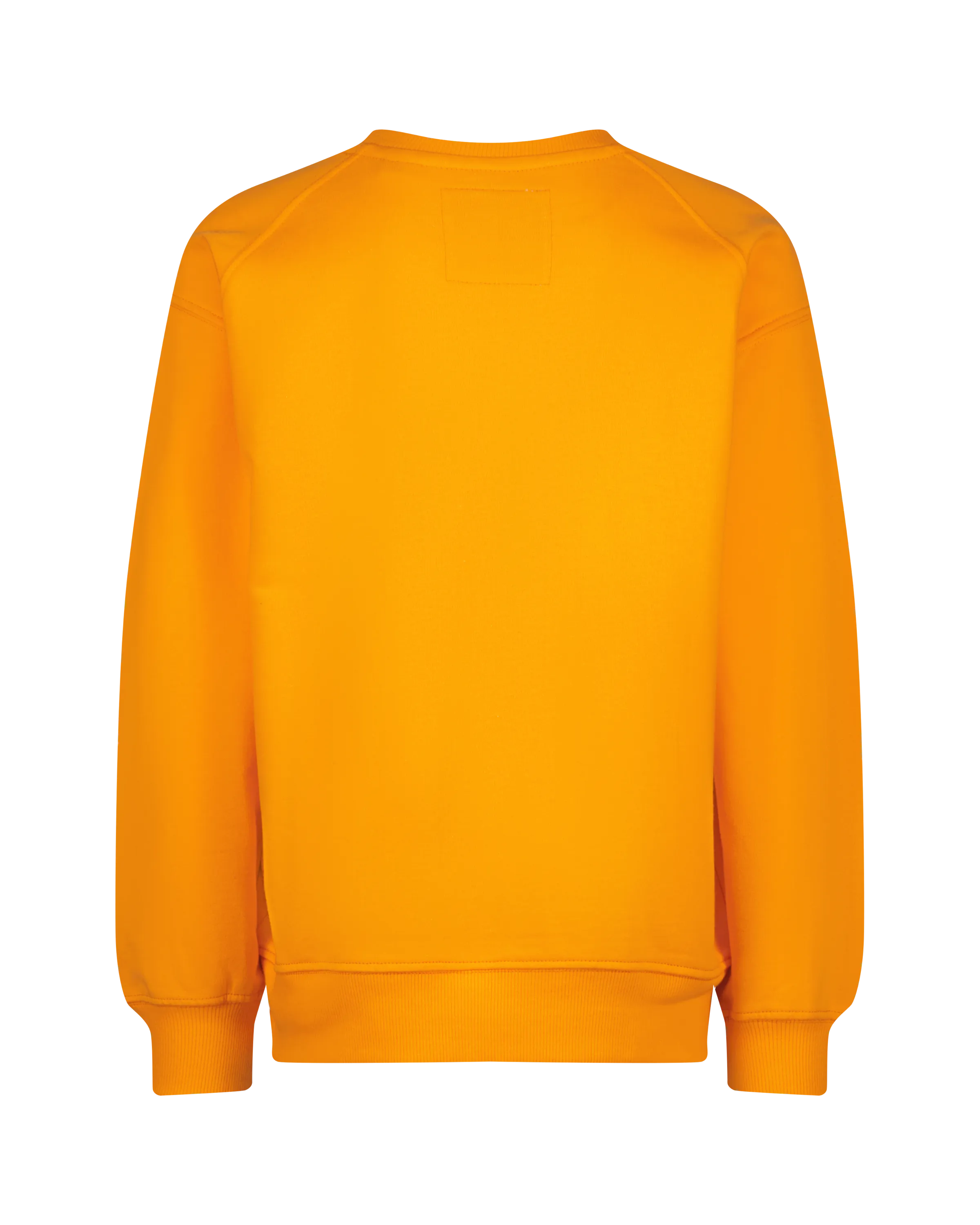 Sweatshirt Naglan