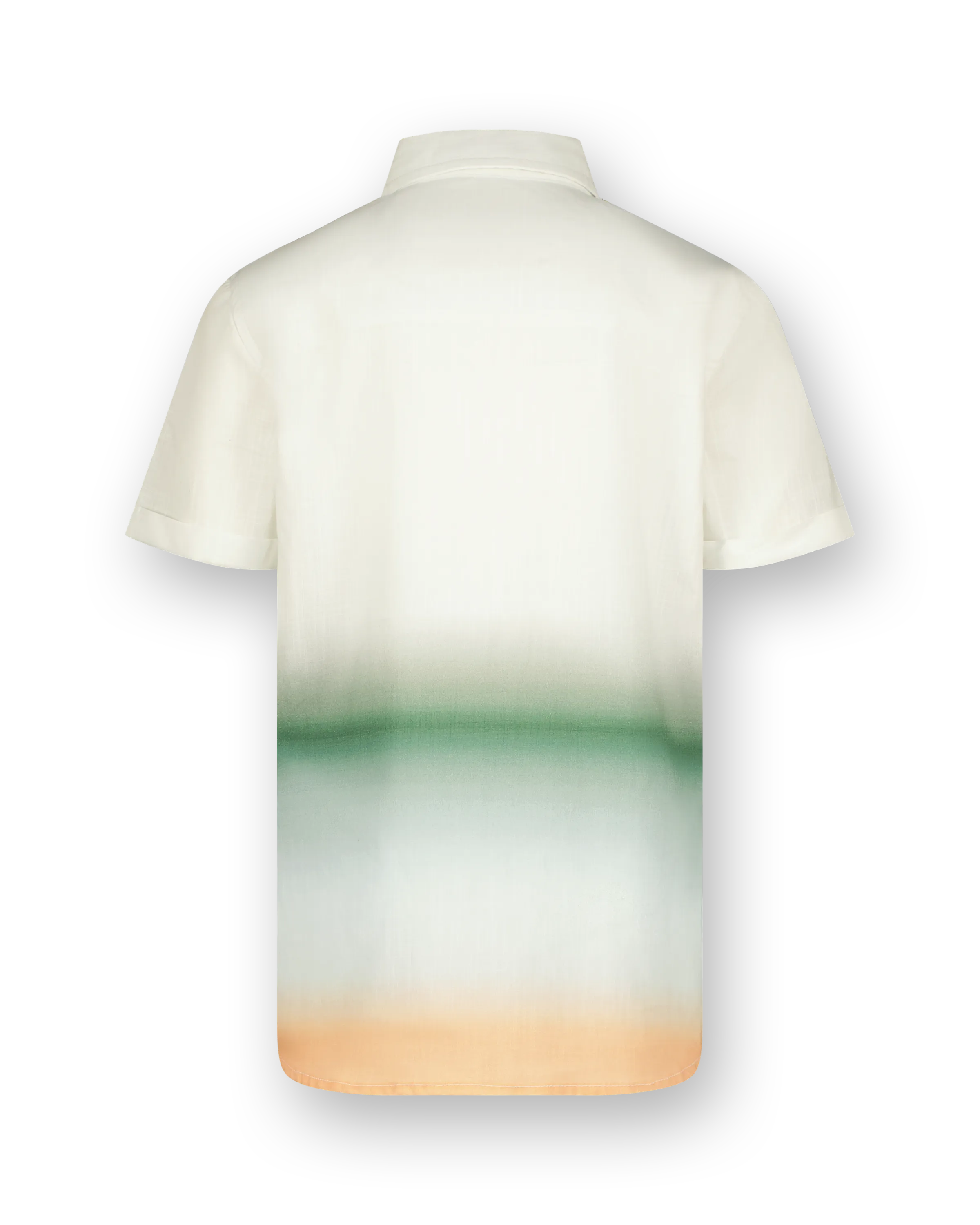 Shirt Ledio