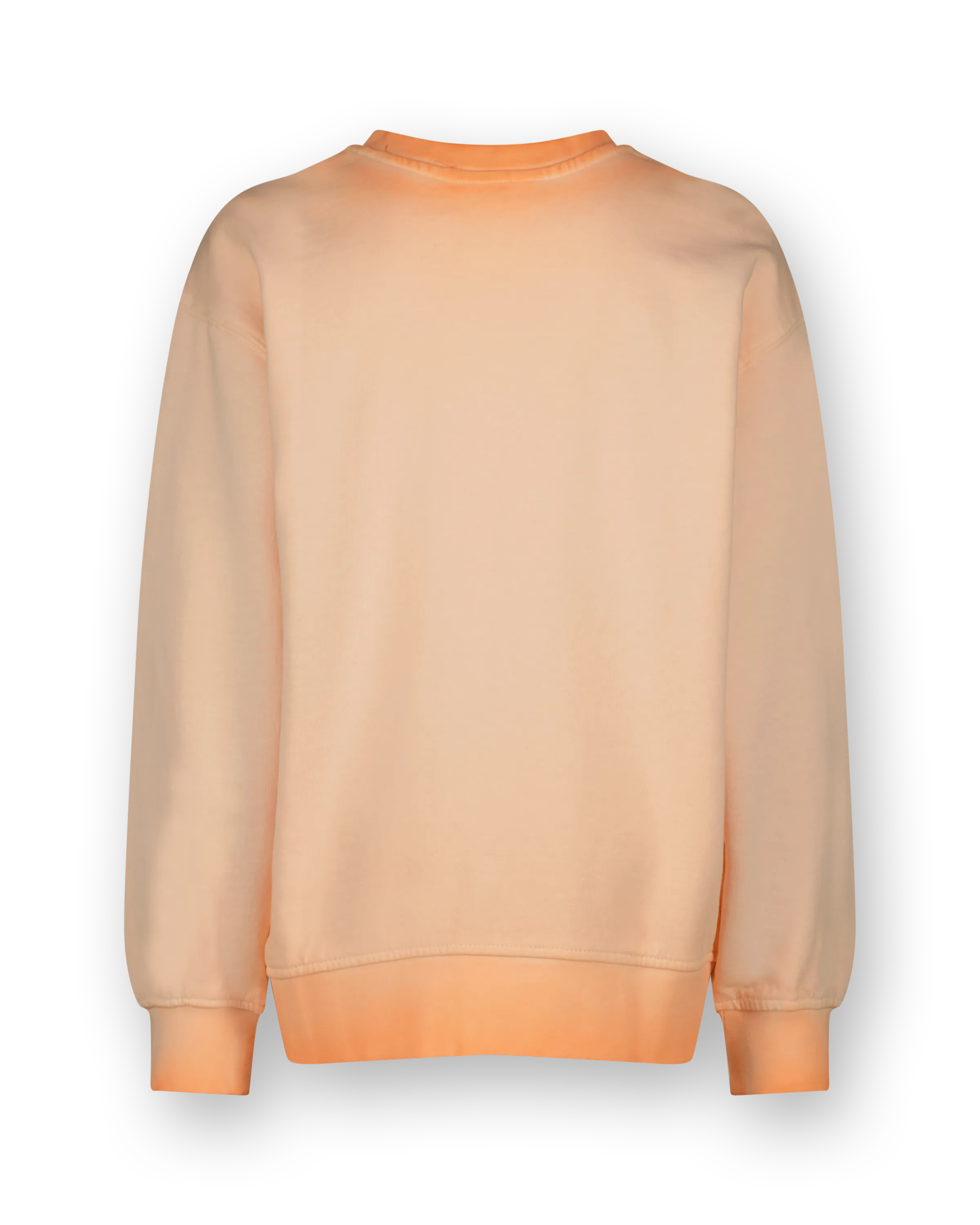 V-Neck Sweatshirt Neor