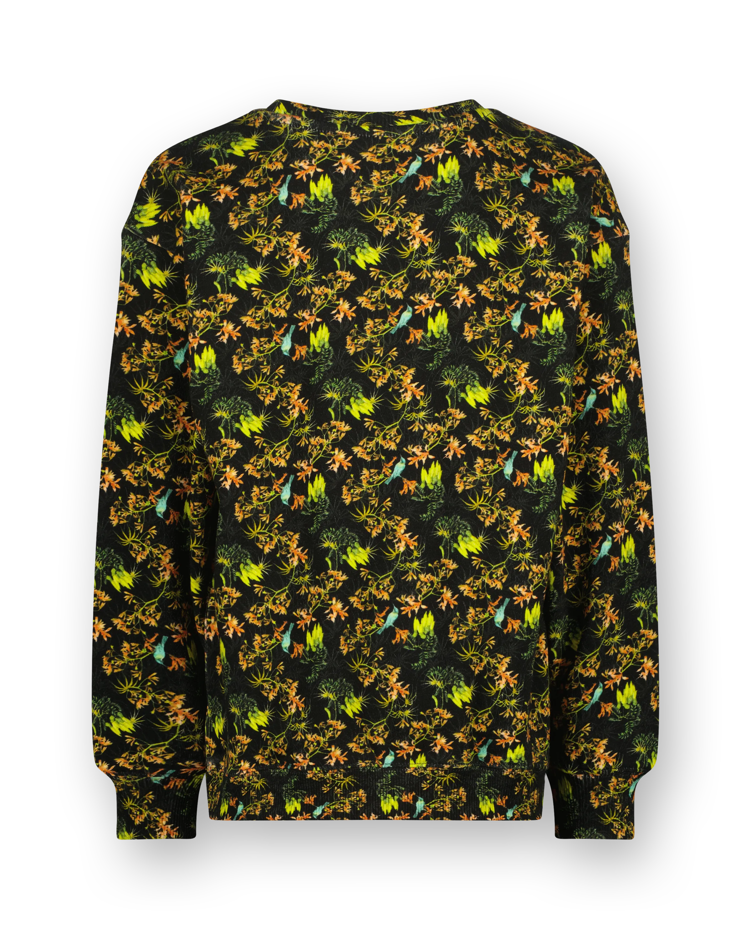 Crew neck Sweatshirt Nisato