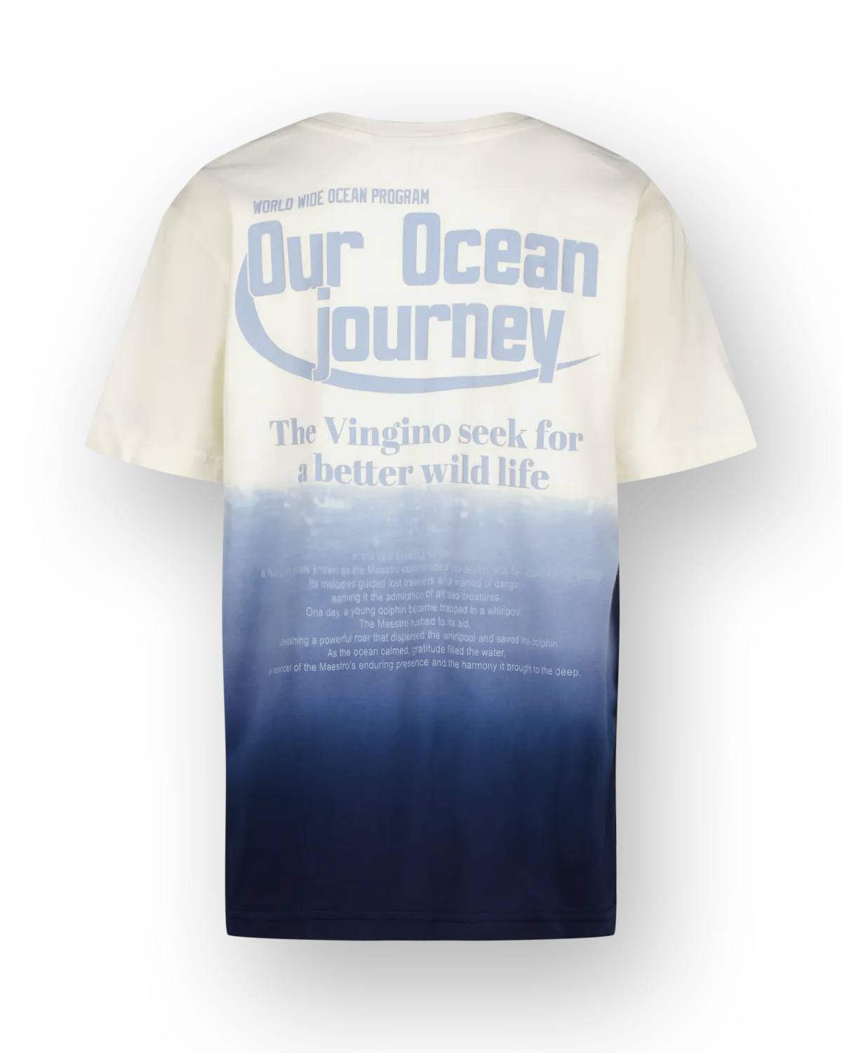 Jungen T-shirt Hender | Blau