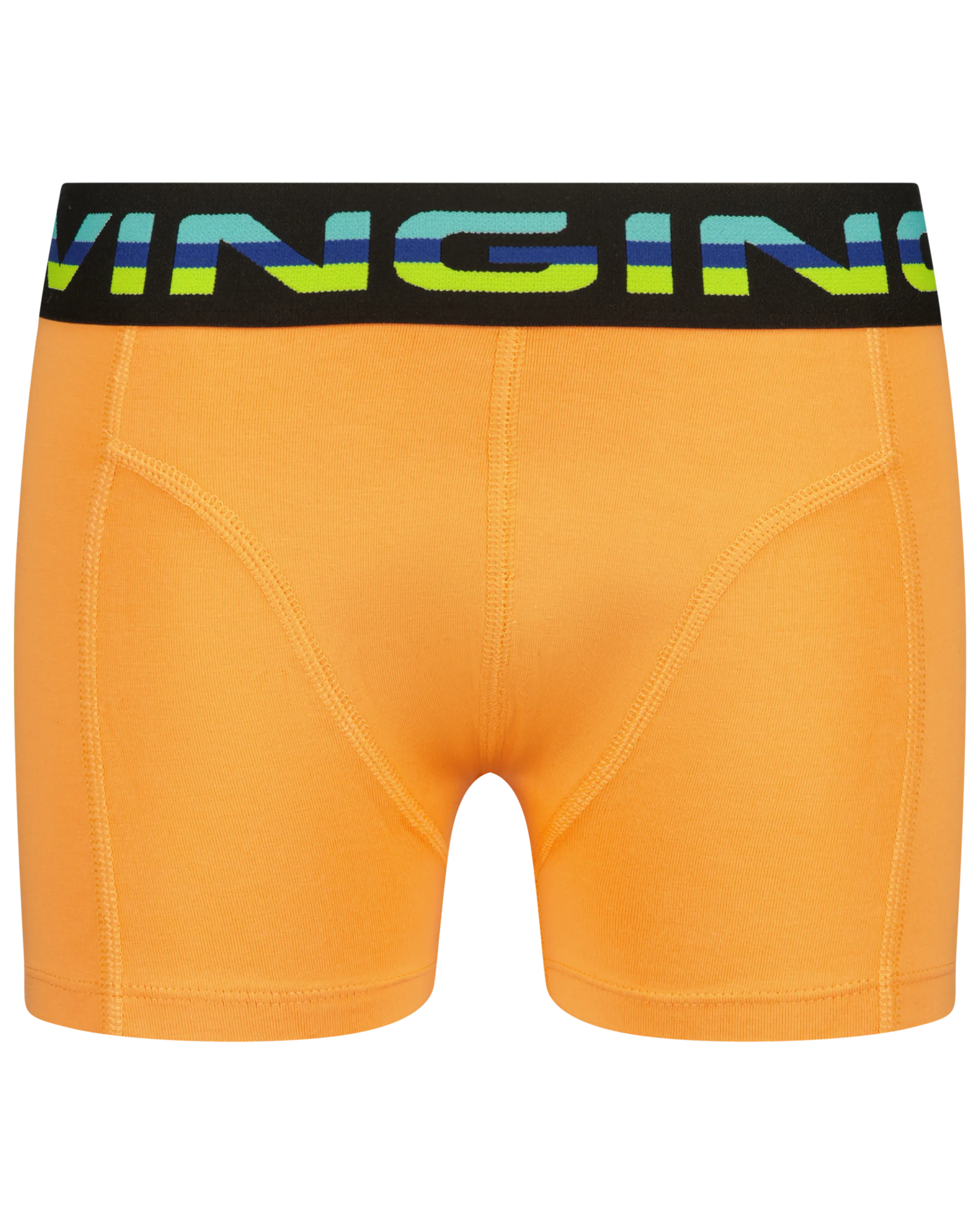 Boxer B-241-8 Palms 5 Pack