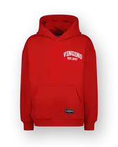 Sweatshirt Icon-hoody