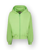 Kapuzenpullover Basic-Ziphoody Terry