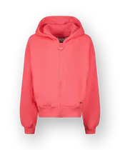Kapuzenpullover Basic-Ziphoody Terry