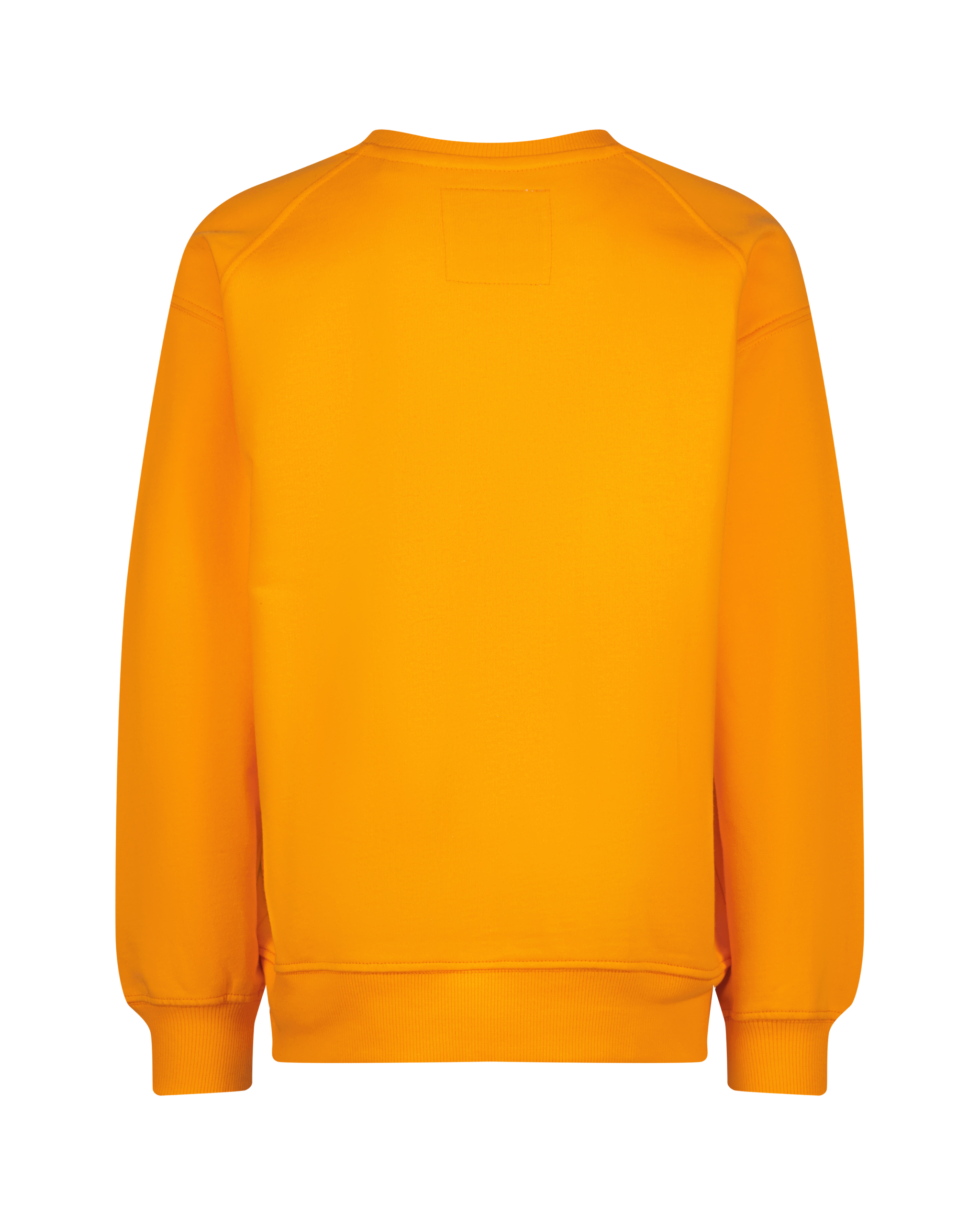 Sweatshirt Naglan