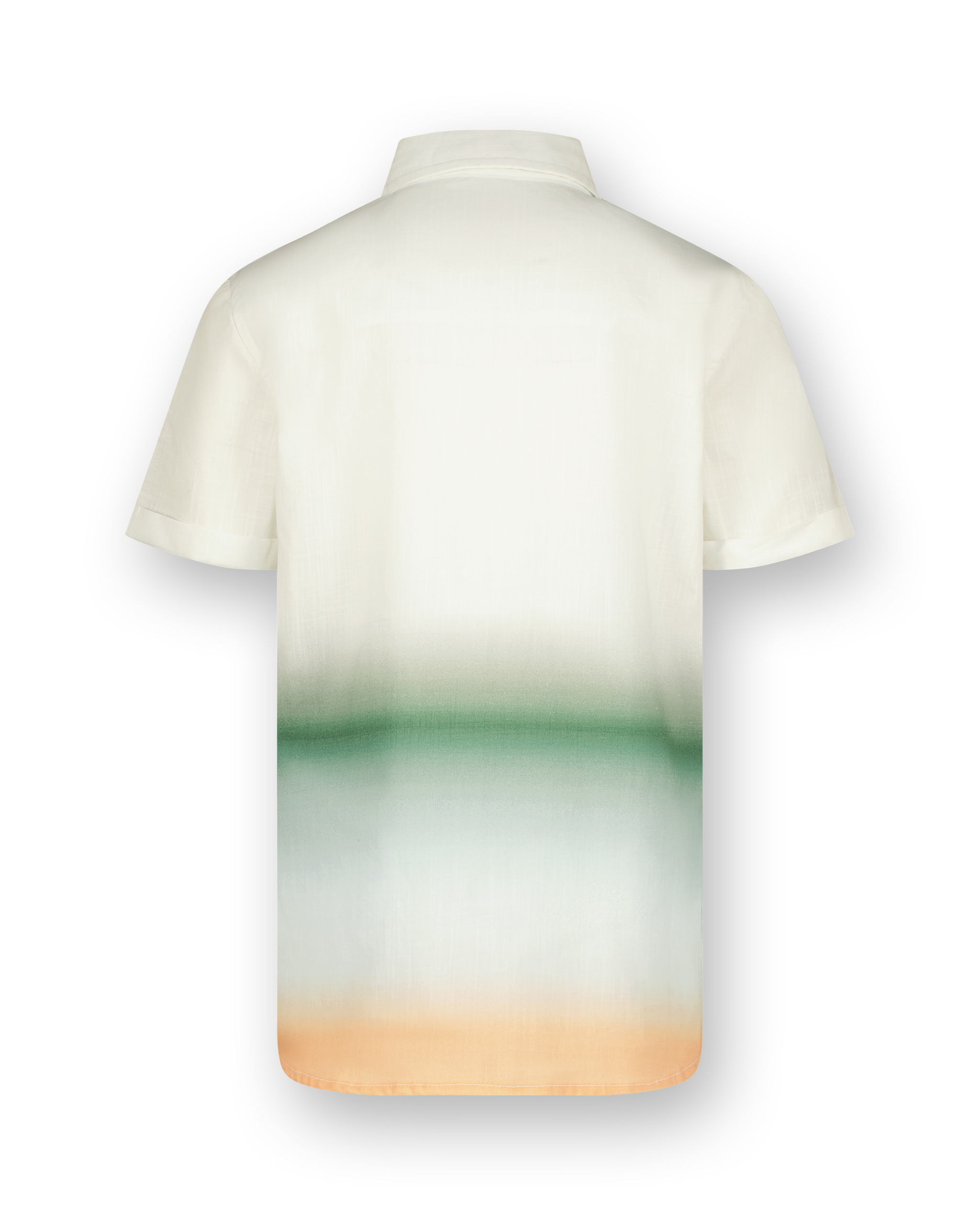 Shirt Ledio