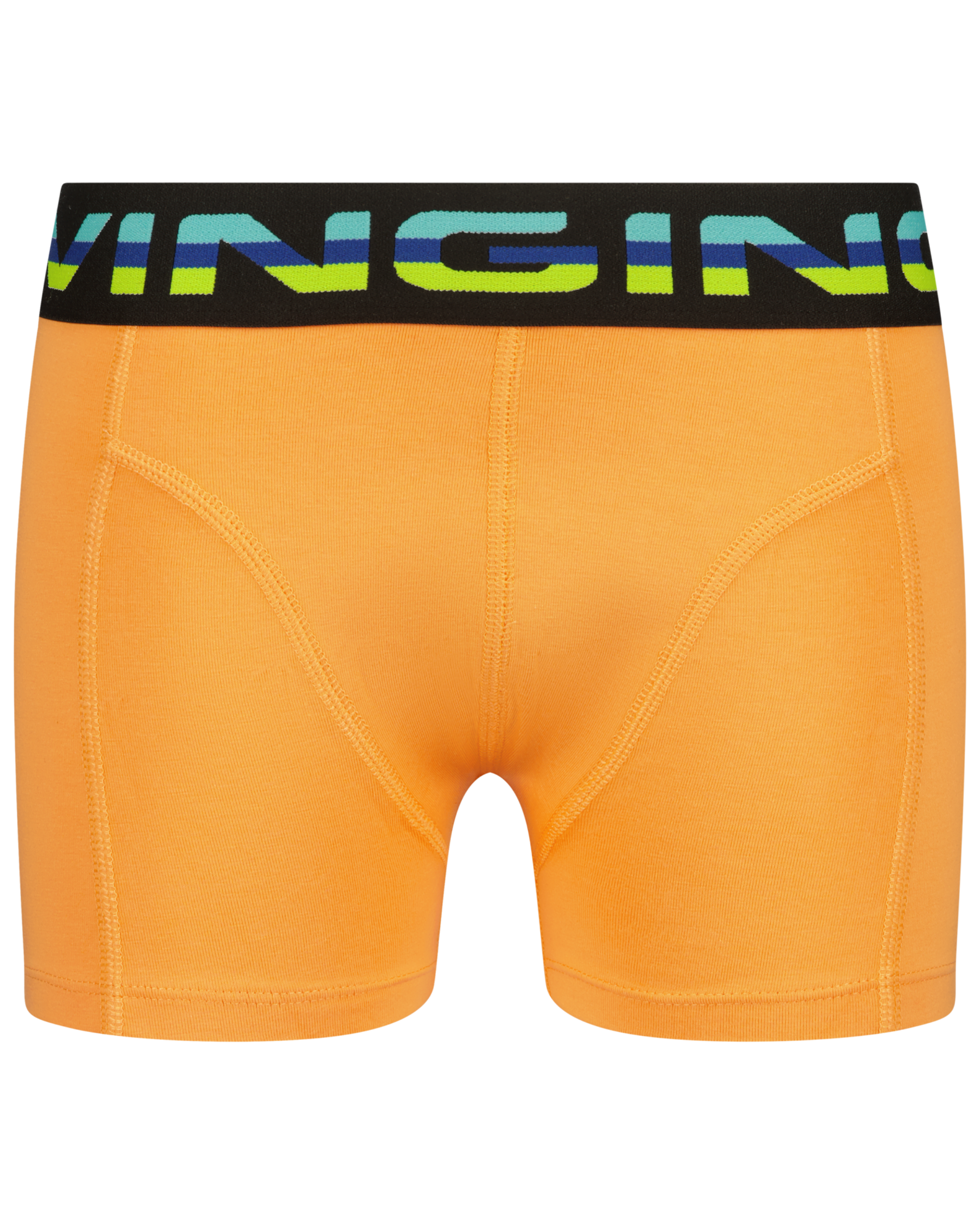 Boxer B-241-8 Palms 5 Pack