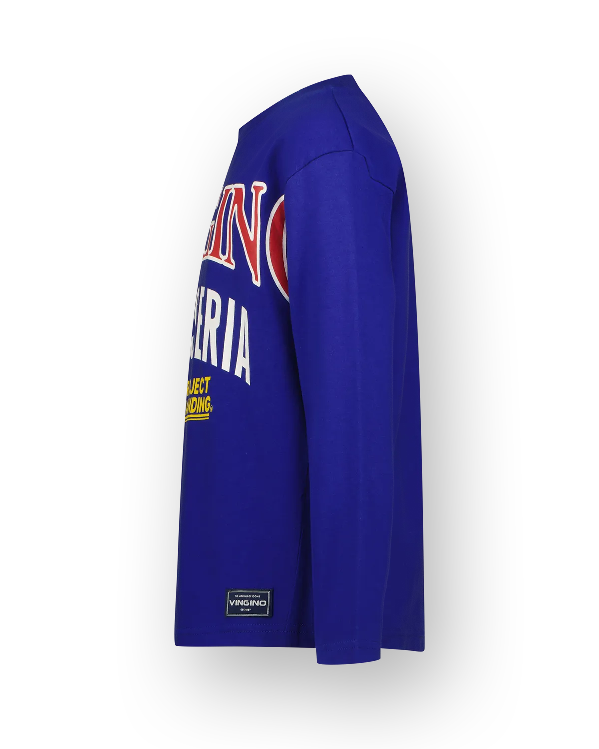 Jungen Longsleeve T-shirt Host | Blau
