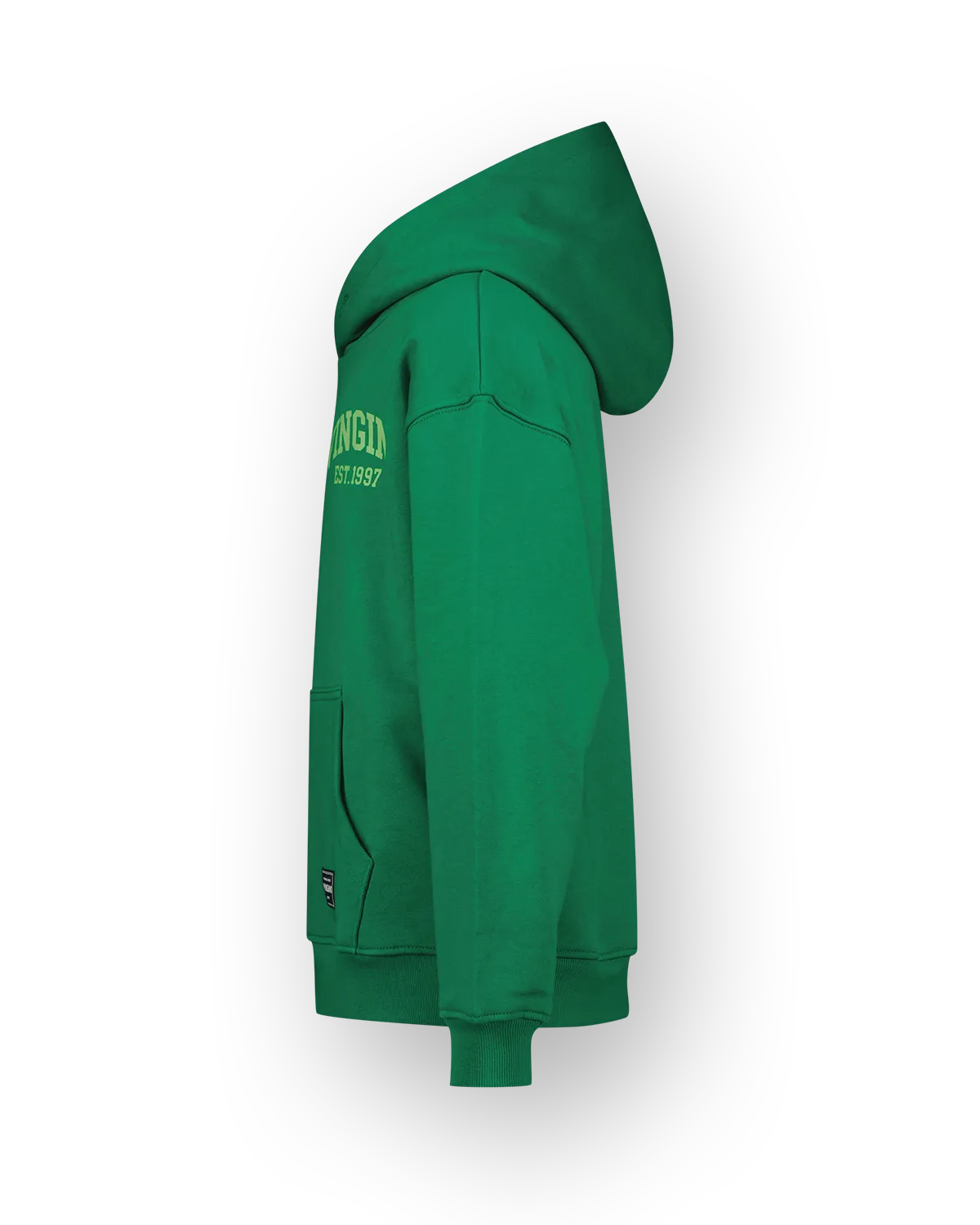Jungen Sweatshirt Icon-hoody | Grün