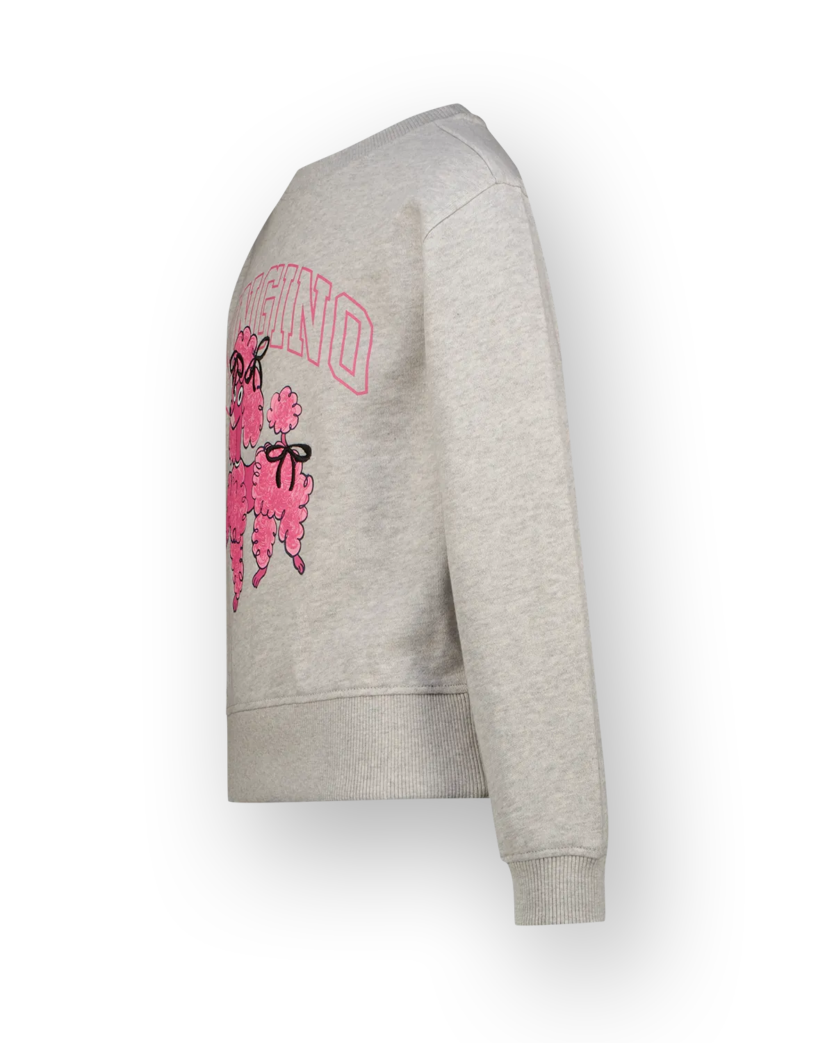 Mädchen Sweatshirt Nirone | Grau