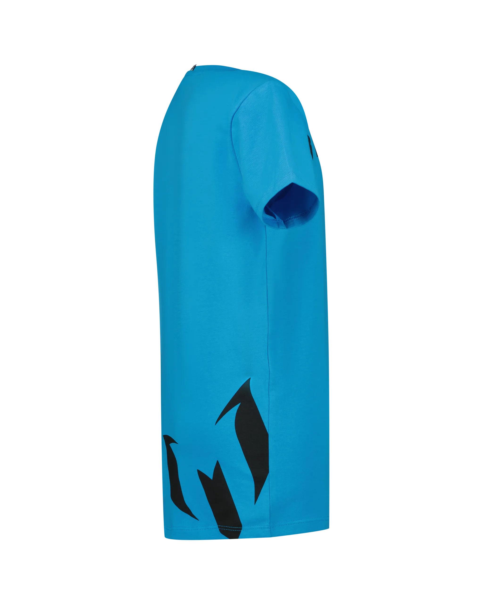Jungen Crewneck T-shirt Heve | Blau
