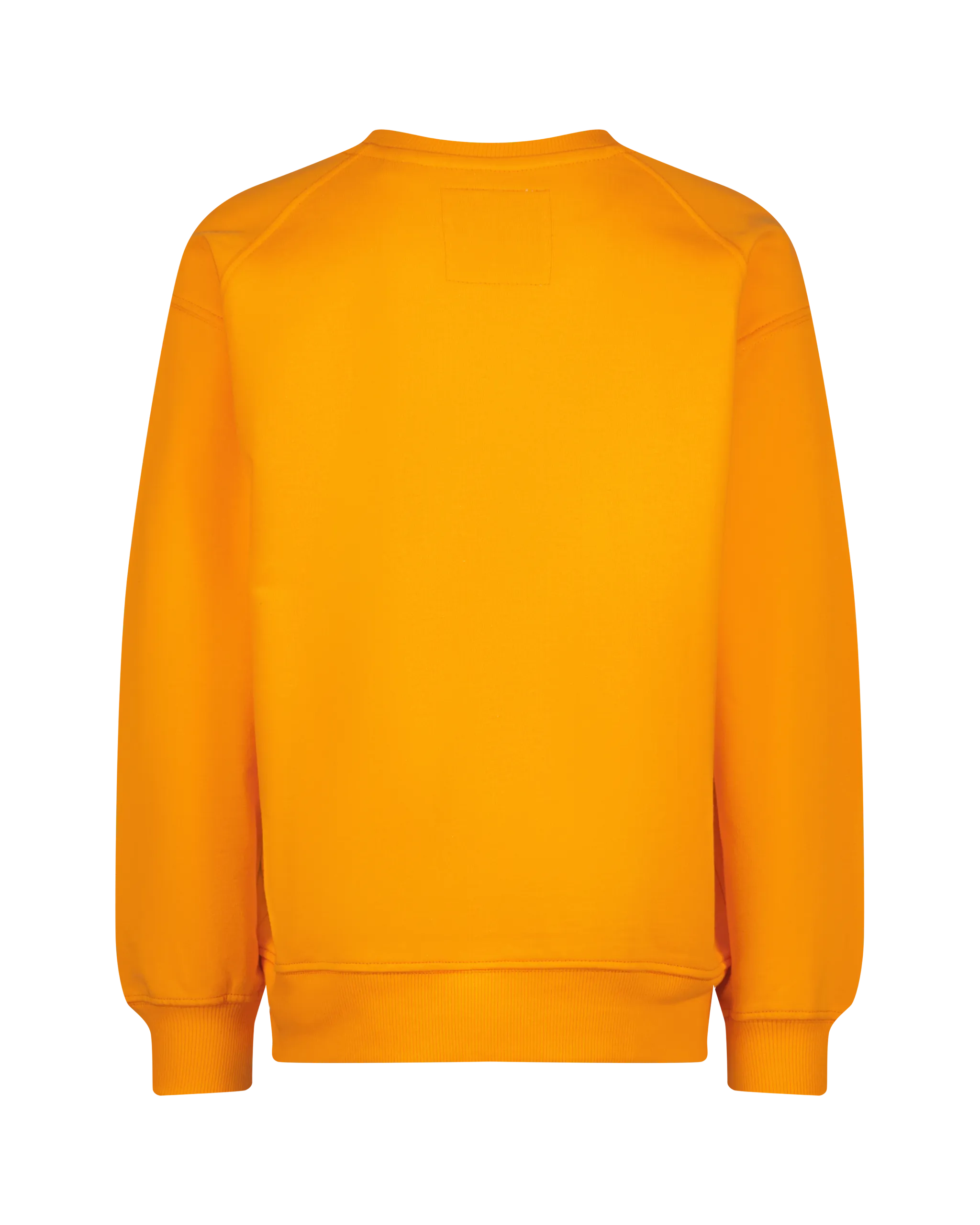 Sweatshirt Naglan