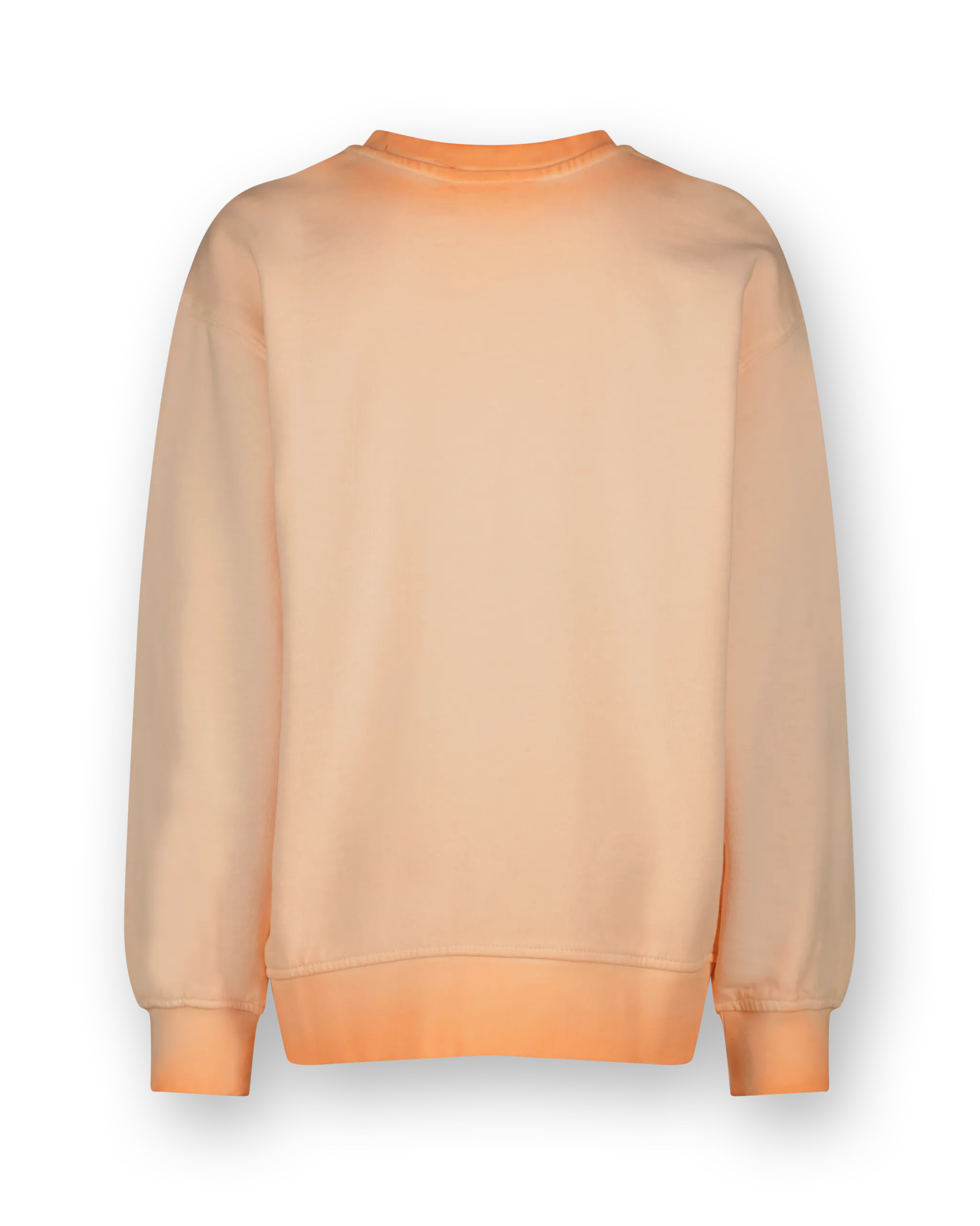V-Neck Sweatshirt Neor