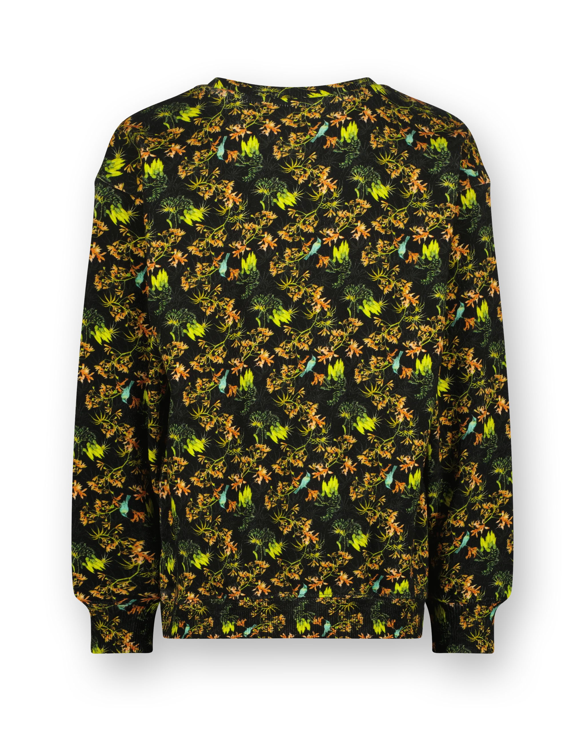 Crew neck Sweatshirt Nisato