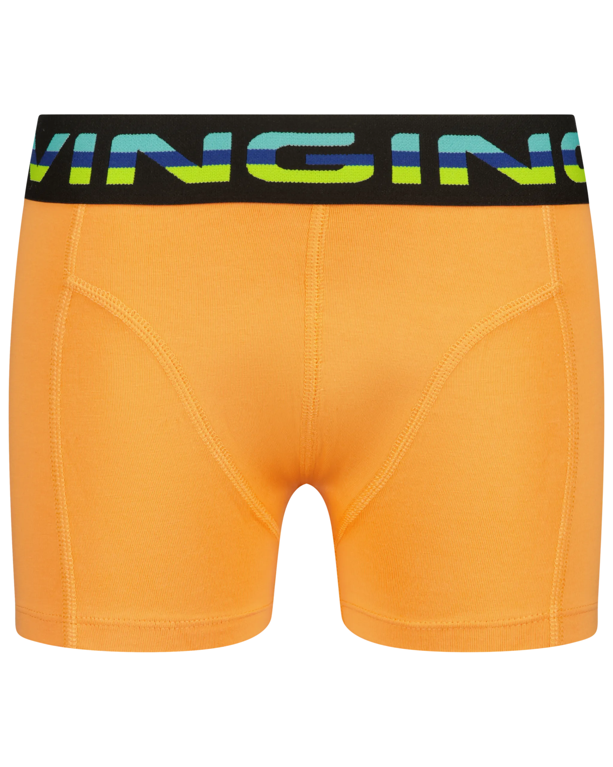 Boxer B-241-8 Palms 5 Pack