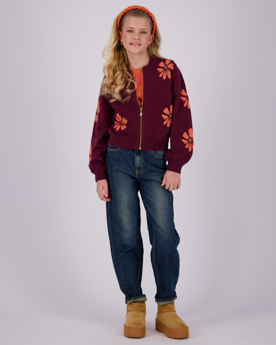 Jeans Celine