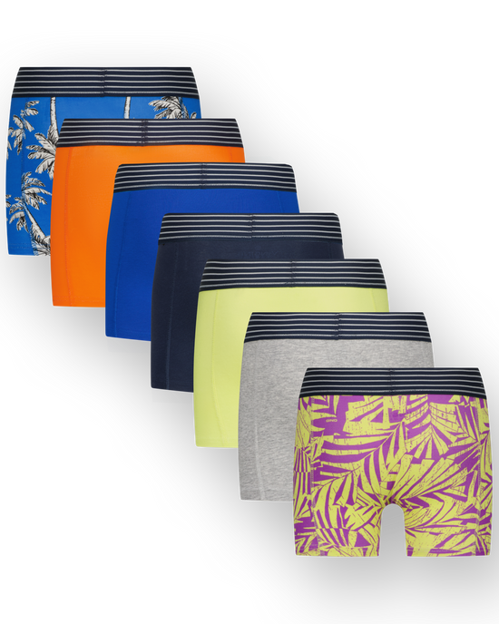 Boxer B251 palm 7-pack