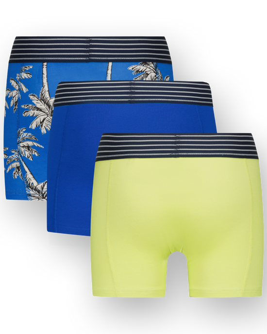 Boxer B251 palm 3-pack